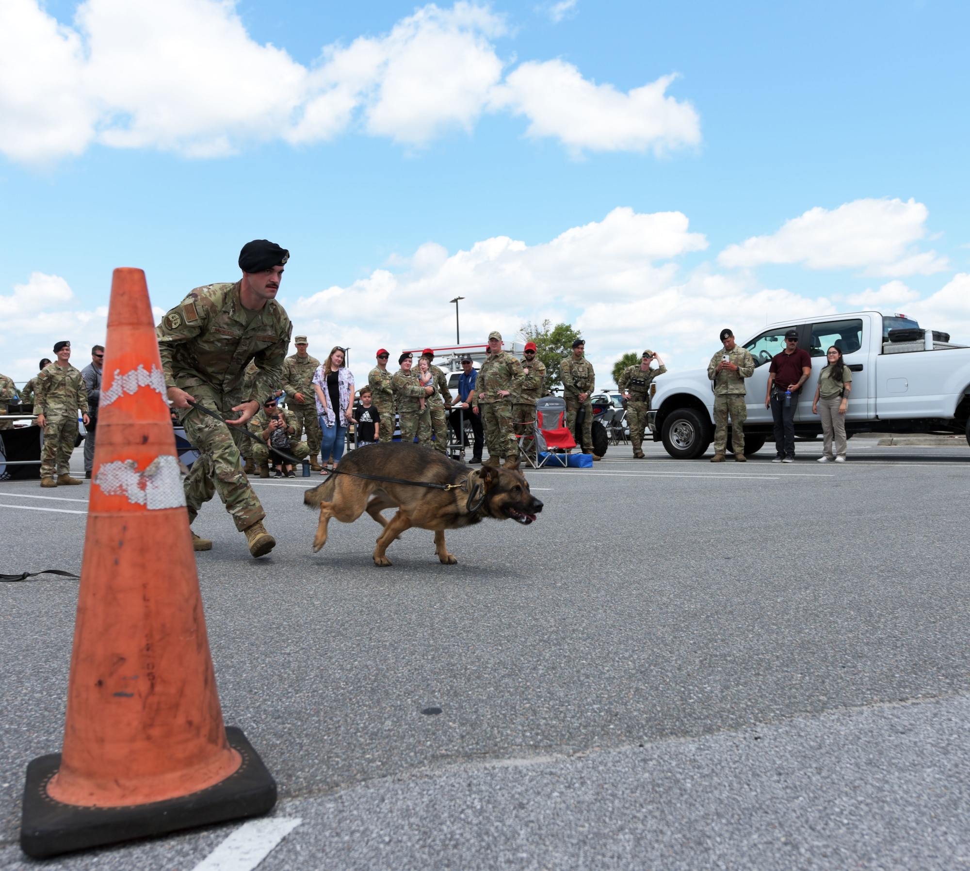 Military working dog handler