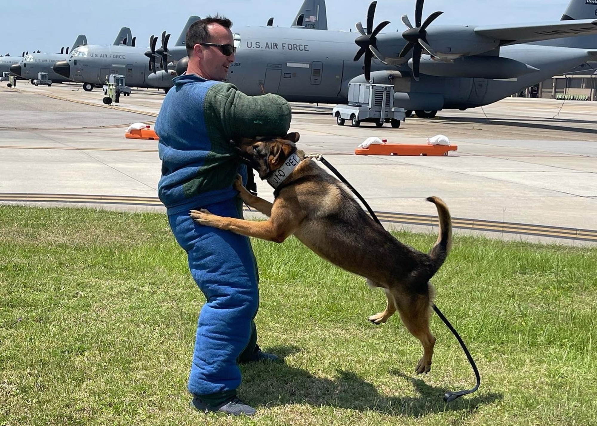 A military working dog attacks its handler, who is dressed in deterrent garb. Airplanes in the background.