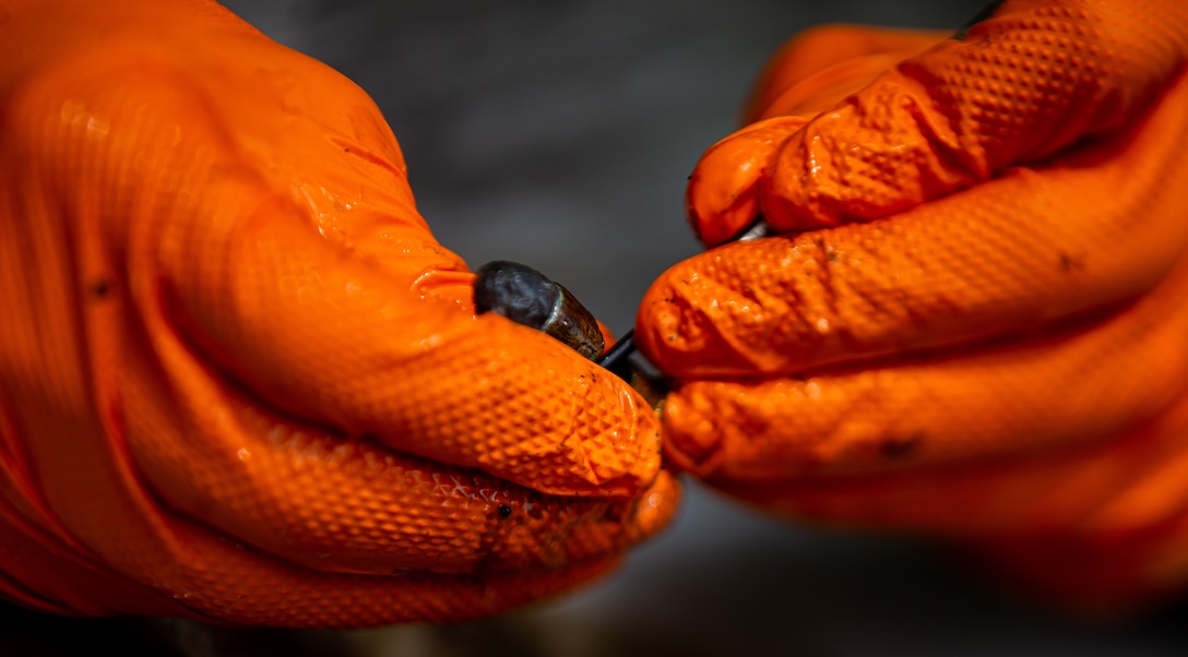 An Explosive Ordnance Disposal (EOD) technician assigned to Headquarters and Headquarters Squadron, extracts the propellant of a Remington Rolling Block pistol cartridge at Marine Corps Air Station Cherry Point, North Carolina, May 10, 2022. The Naval History and Heritage Command (NHHC) Underwater Archeology (UA) Branch requested assistance from EOD so the round could be rendered inert, making it safe for display. (U.S. Marine Corps photo by Lance Cpl. Jacob Bertram)