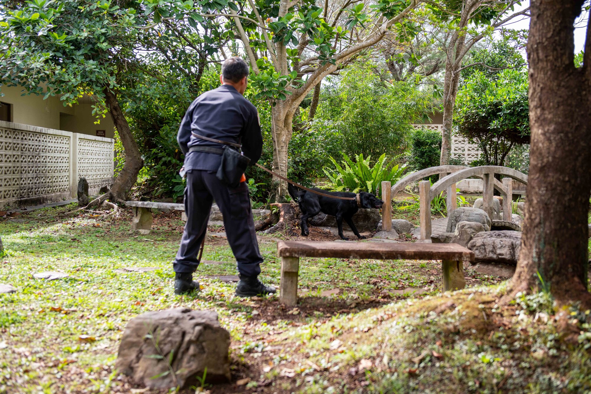 A dog handler and his dog search for simulated bombs in a courtyard outside
