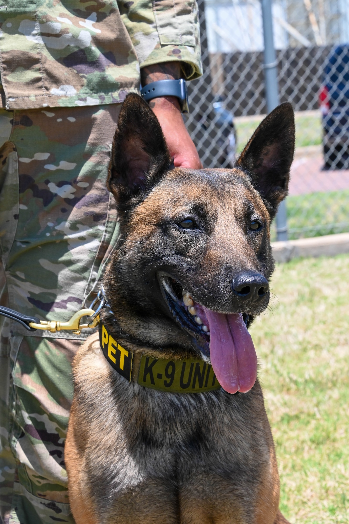 dog smiles next to handler