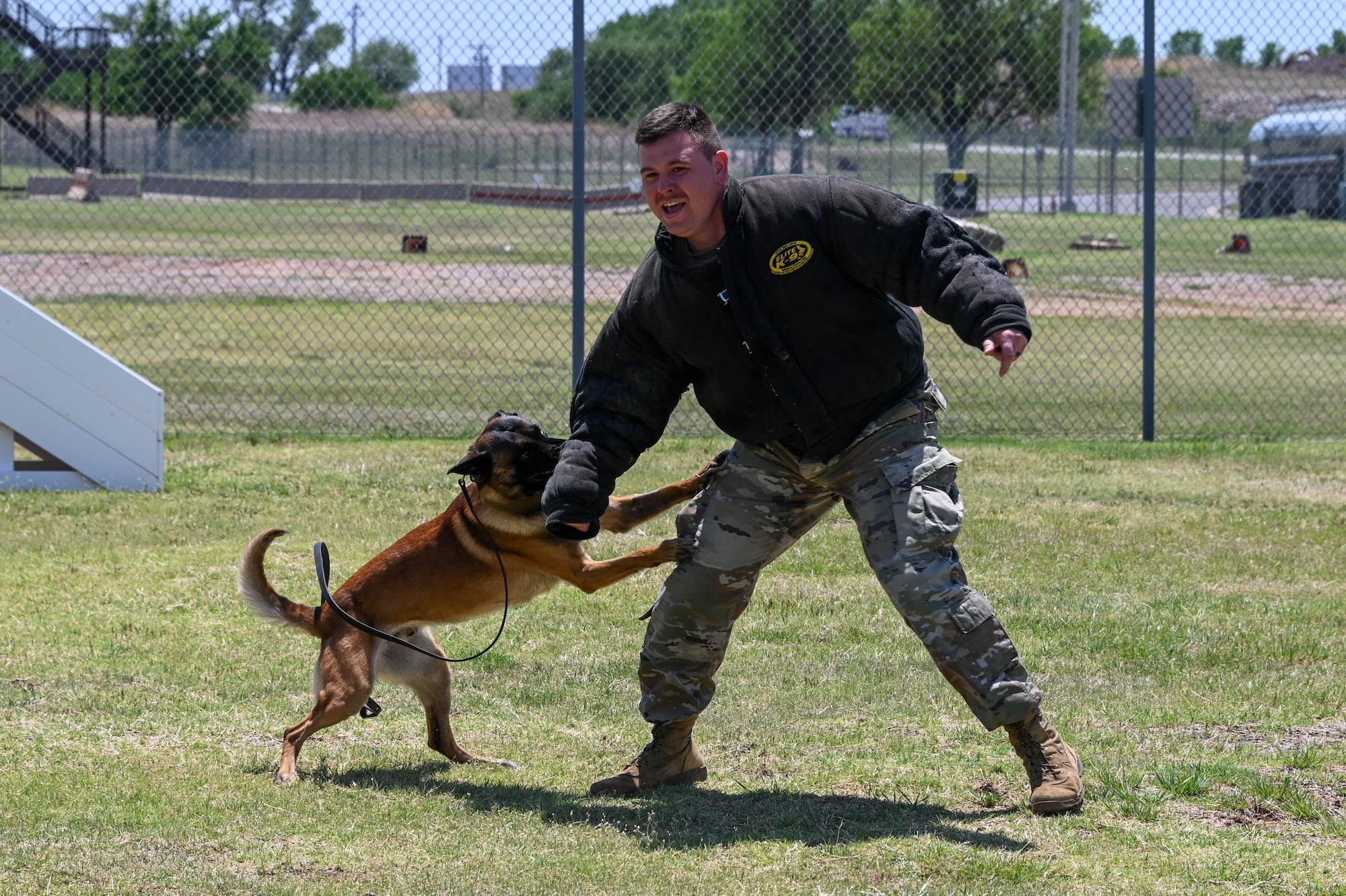 man in bite suit gets bit by dog