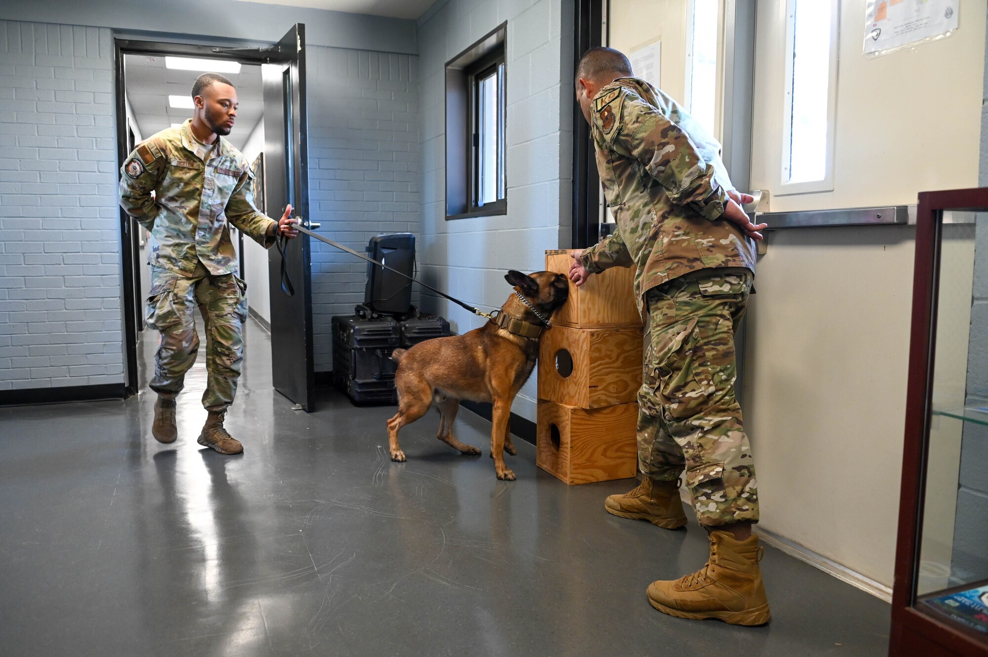 two dog handlers train a dog to find hidden items