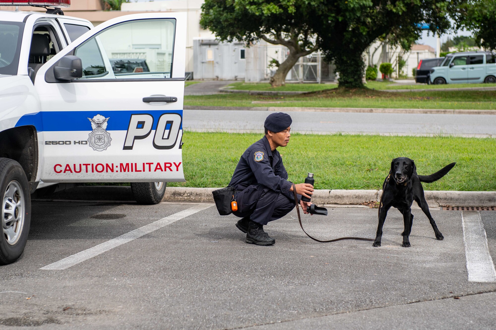 A dog handler tries to give water to his dog