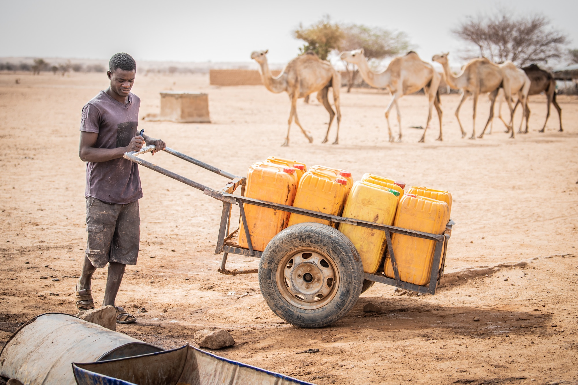 Villager from Alwat, Niger transports water jugs in a cart