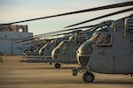 CH-53 Super Stallions are staged on a flight line at Marine Corps Air Station New River, N.C., March 12, 2015. Marine Heavy Helicopter Squadron 464 conducted Air Delivered Ground Refueling training in support of 2d Tank Battalion, 2nd Marine Division to increase unit proficiency and expand interoperability.