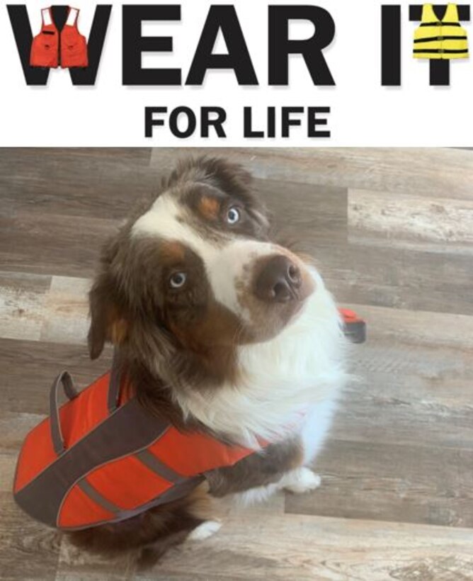 Remember, pets need life jackets too when on our near the water.