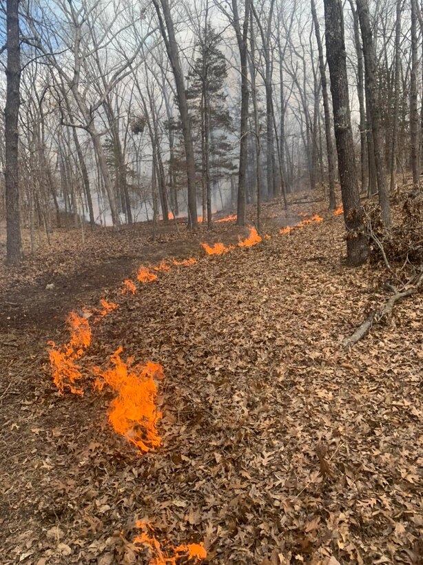 Park Rangers at Mark Twain Lake took part in a prescribed burn to clear out vegetation throughout the Indian Creek Campground.