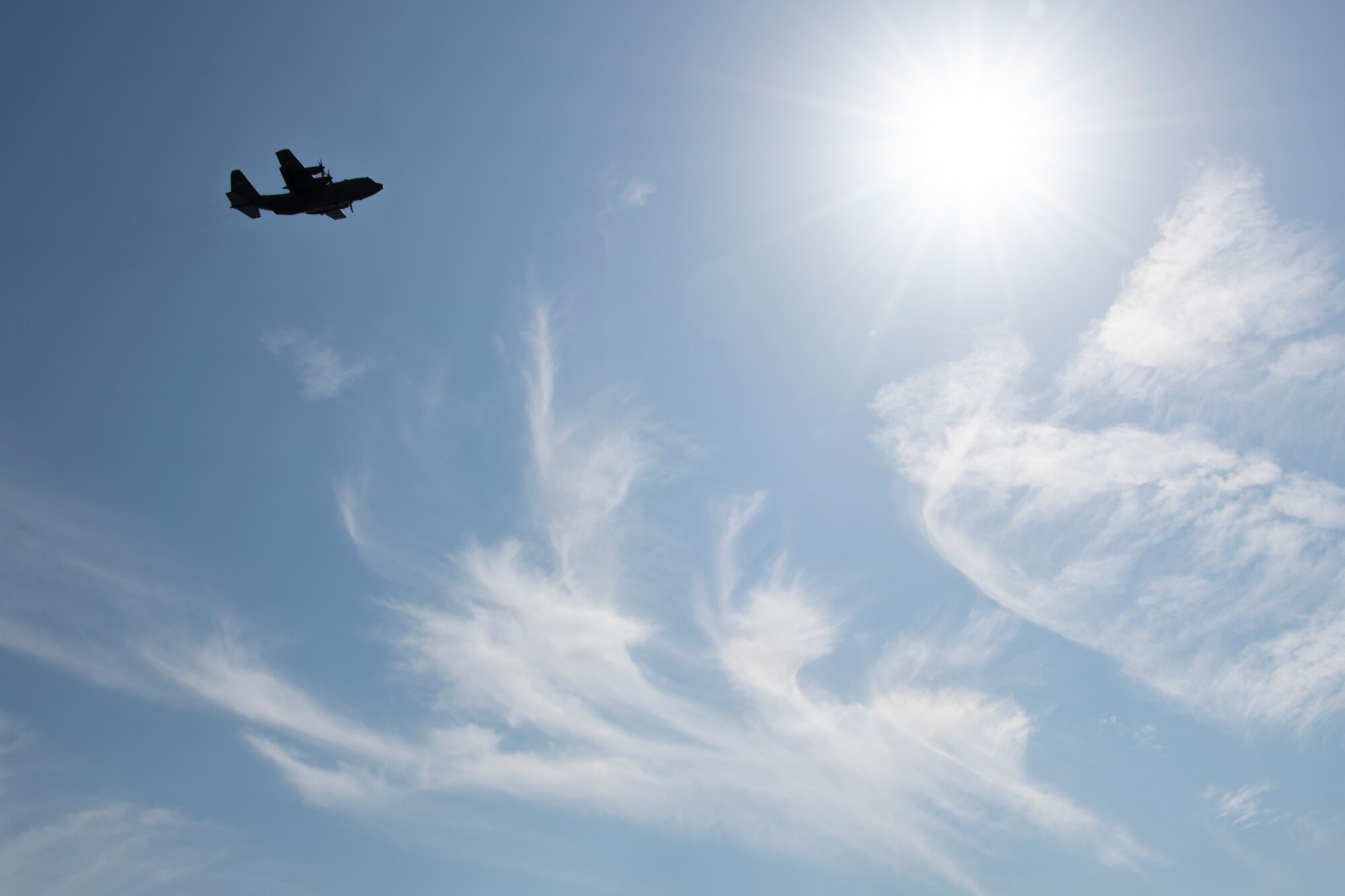 C-130H Hercules on it's final formation flight