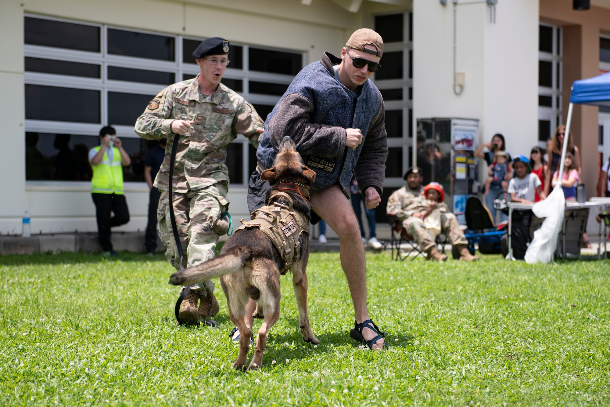 U.S. Air Force Staff Sgt. Nathan Fortmayer, 18th Security Forces Squadron military working dog handler and his canine Szultan, apprehend a volunteer suspect during a MWD demonstration for National Police Week at Kadena Air Base, Japan, May 18, 2022. The canine handlers demonstrated the extent to which the MWD’s are trained to obey various verbal commands, including their ability to abort a physical attack if a fleeing suspect suddenly surrenders. (U.S. Air Force photo by Senior Airman Jessi Monte)