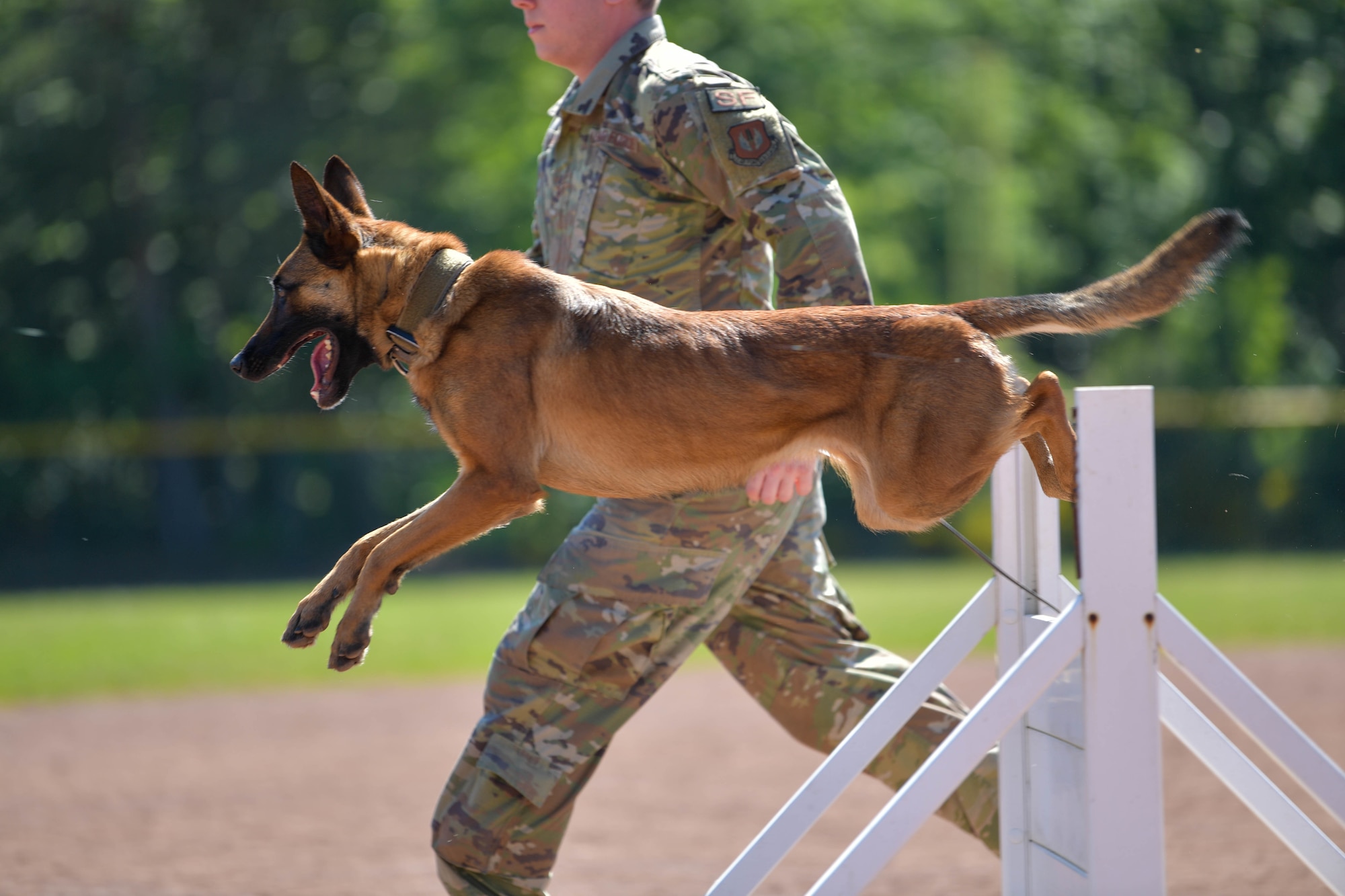 U.S. Air Force Staff Sgt. Daniel Hagney, 86th Security Force Squadron Military Working Dog handler, and his K-9 partner, Wwicca, participate in the 86th Security Forces Squadron 2022 Military Working Dog Competition at Ramstein Air Base, Germany, May 18, 2022.