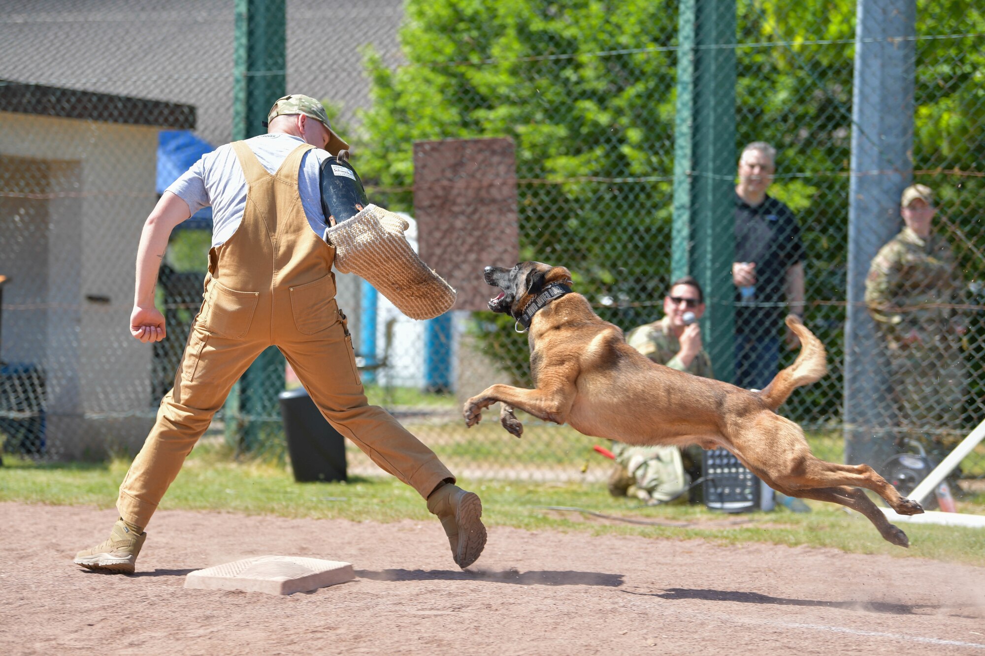 Military working dog, Paik, participates in the Fastest Dog Challenge during the 86th Security Forces Squadron 2022 Military Working Dog Competition, at Ramstein Air Base, May 18, 2022.