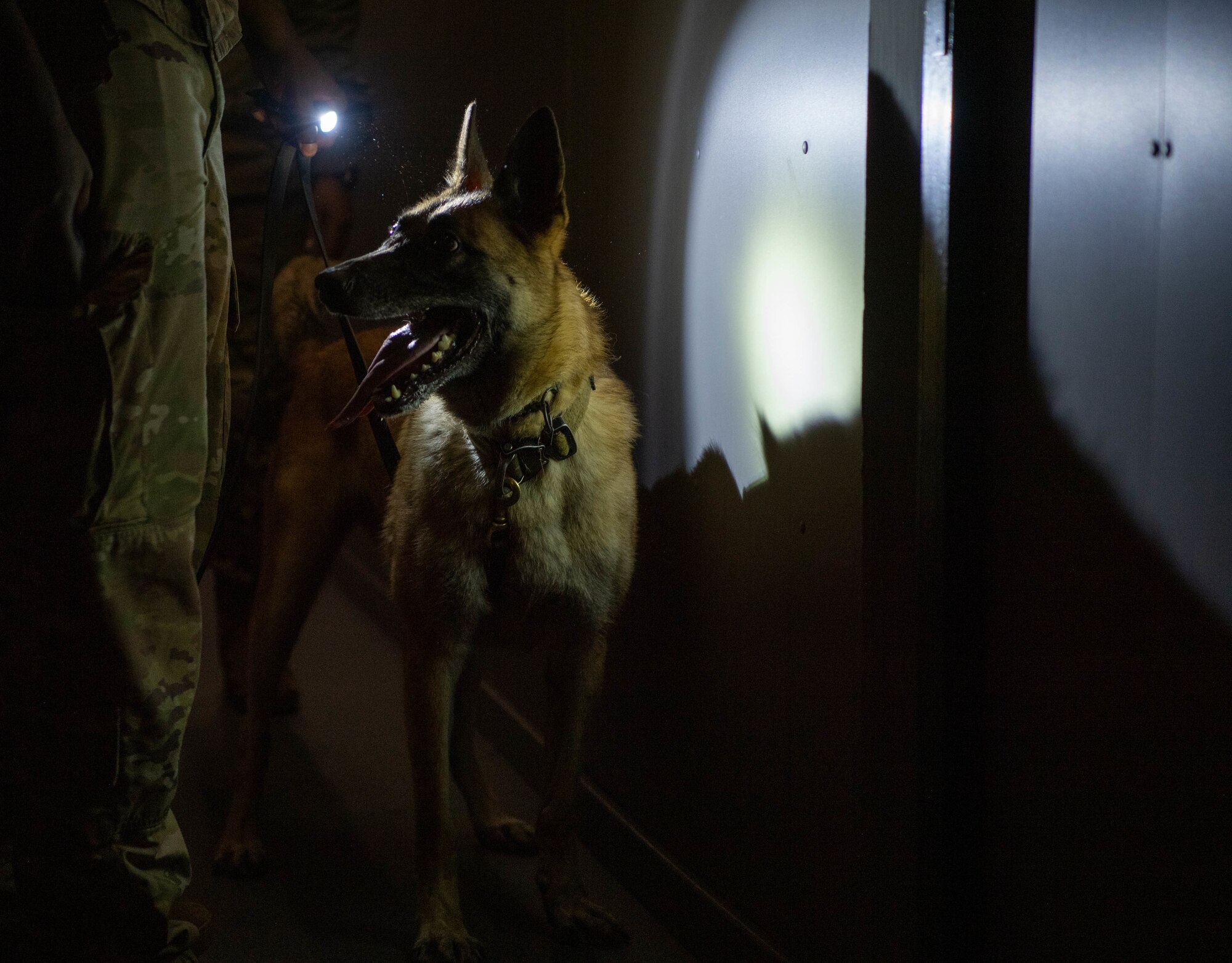 U.S. Air Force Senior Airman John Fountain, 86th Security Force Squadron Military Working Dog handler, and his K-9 partner, Juci, participate in the 86th Security Forces Squadron 2022 Military Working Dog Competition, at Ramstein Air Base, Germany, May 19, 2022.