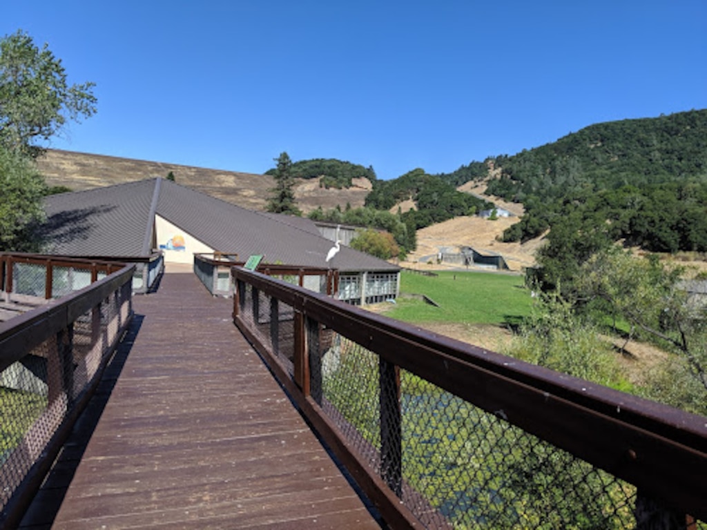Wooden Walkway leads off into the distance to a building in the hills and green grass.