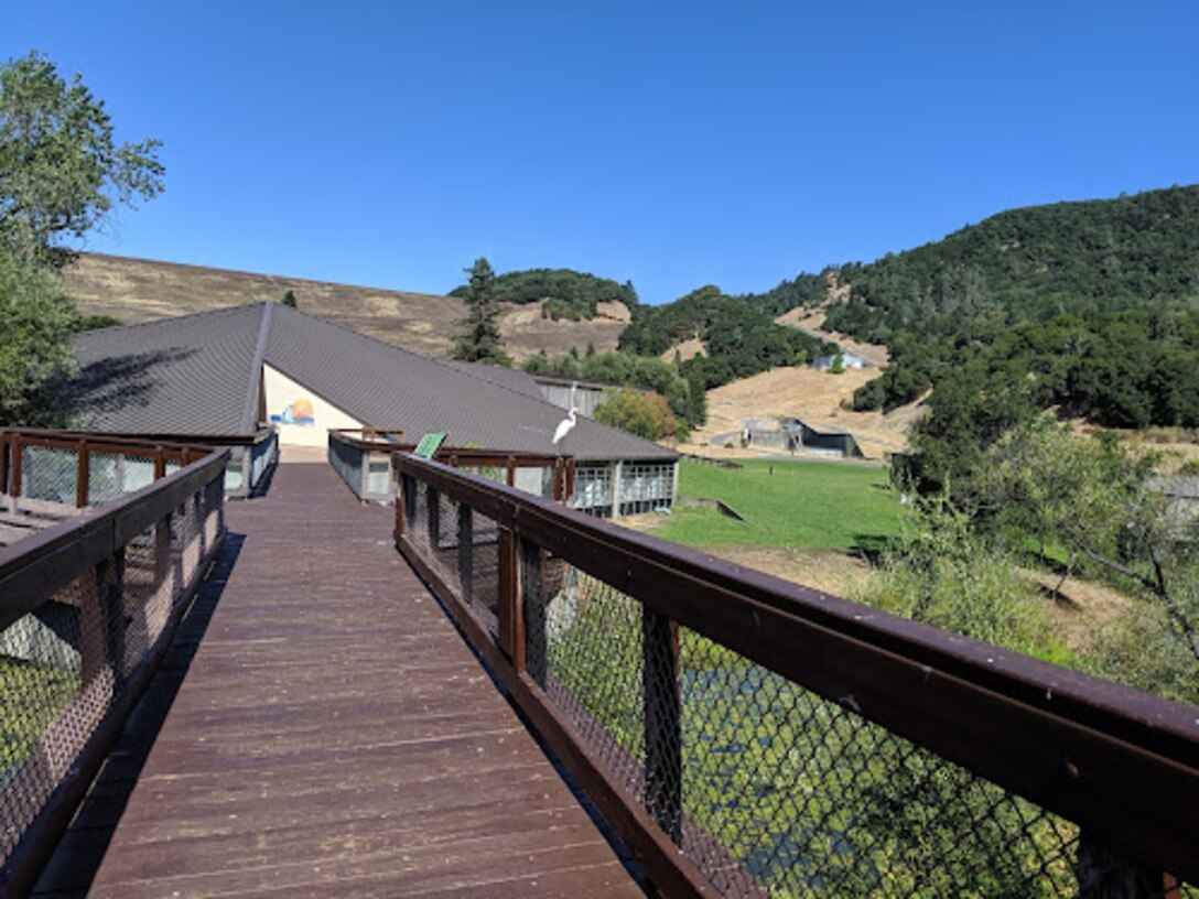 Wooden Walkway leads off into the distance to a building in the hills and green grass.
