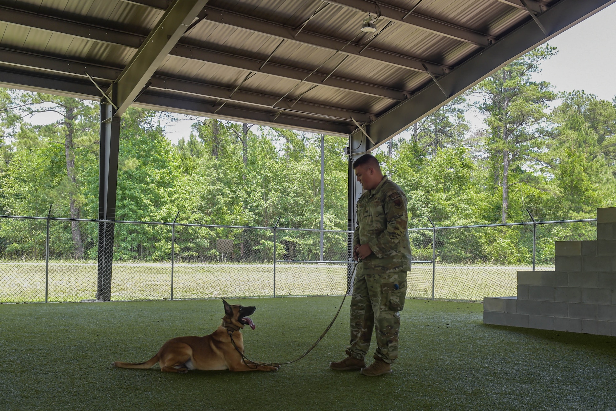 A photo of a dog and airman.