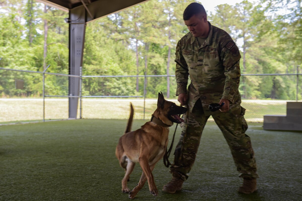 23 SFS new K9 > Moody Air Force Base > Article Display