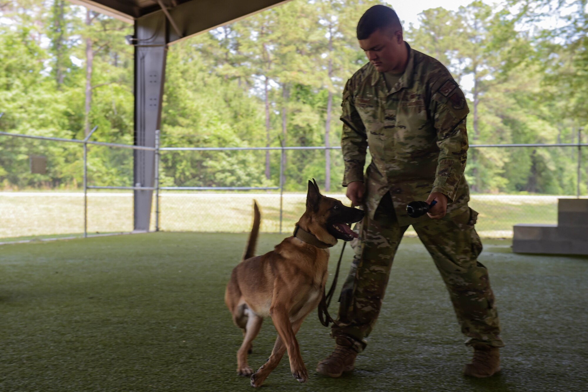 A photo of a dog and airman.