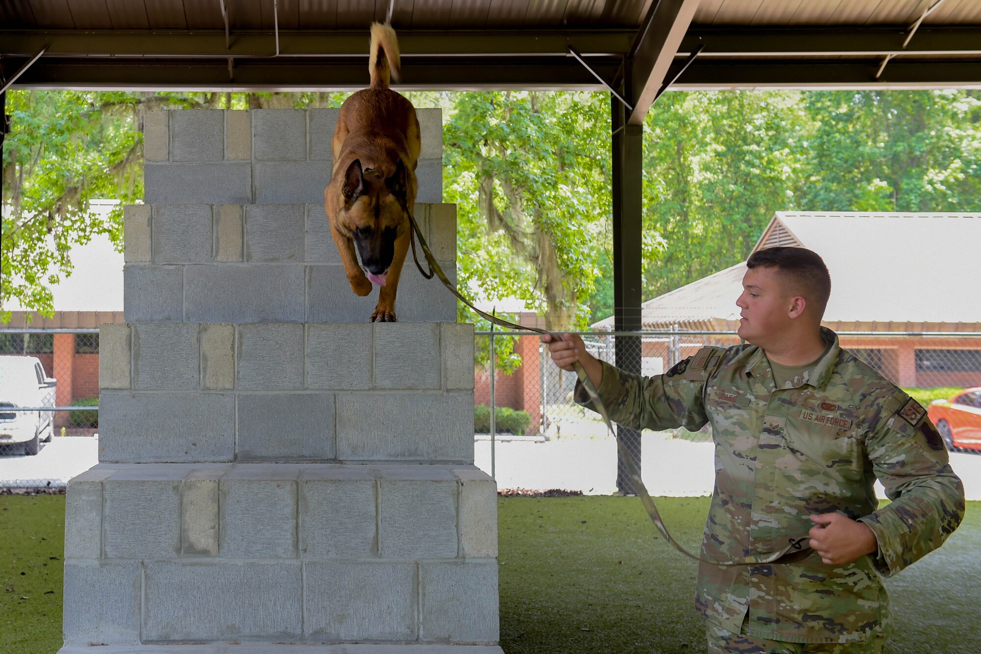 A photo of a dog and airman.