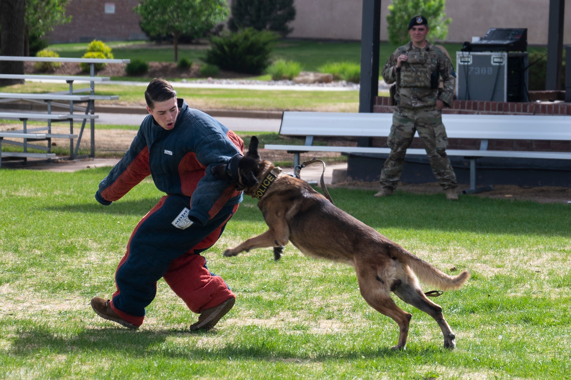 U.S. Air Force Senior Airman Tyler Wait, 21st Security Forces Squadron military working dog handler, is bitten by Scooby, MWD, during an MWD demonstration at the Defender’s Fair at Peterson Space Force Base, Colorado, May 19, 2022. In the Department of the Air Force, Security Forces defenders and Air Force Office of Special Investigation agents, protect and serve their community 24 hours a day, seven days a week. (U.S. Space Force photo by Senior Airman Jonathan Whitely)