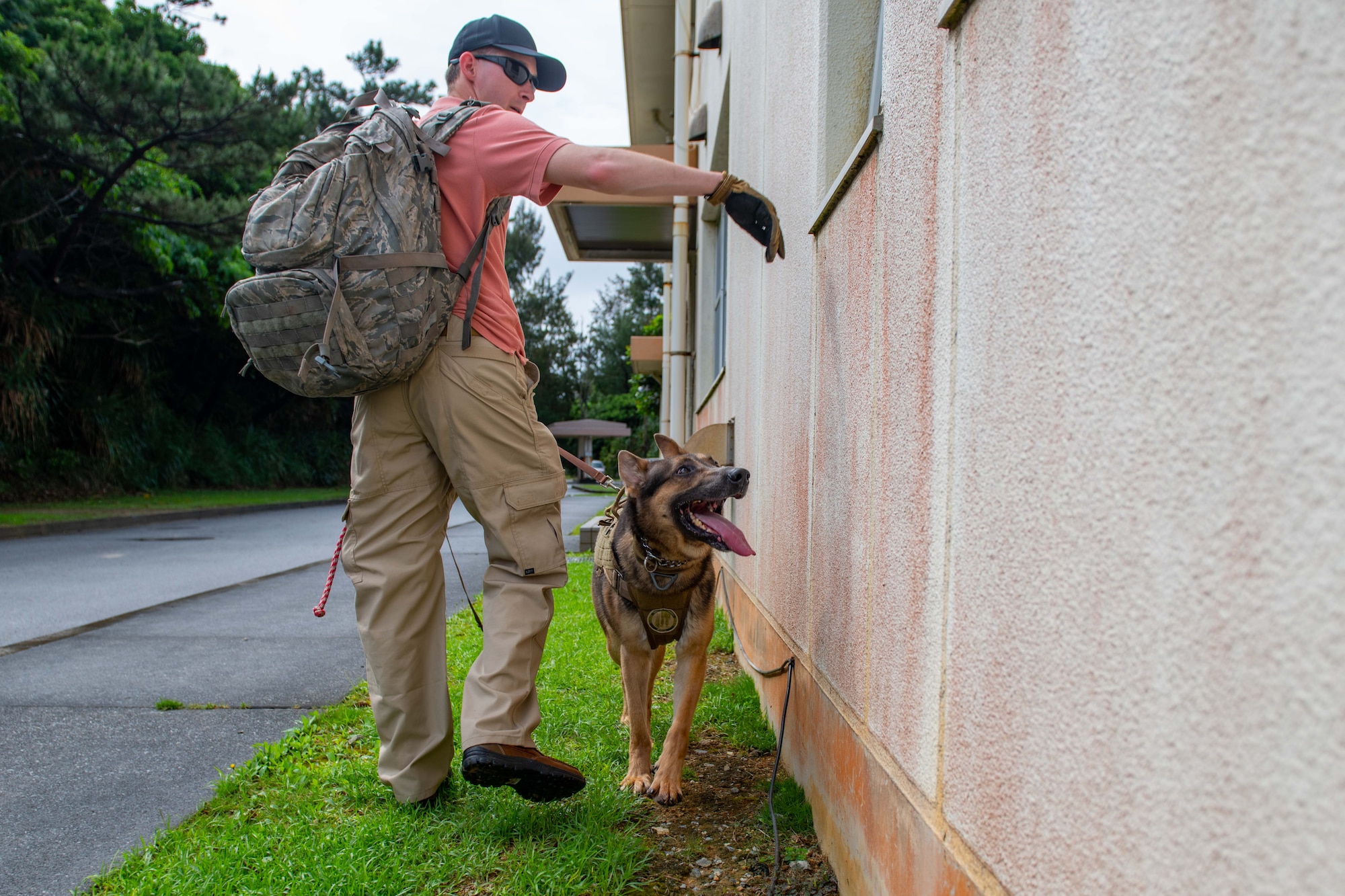 A dog handler guides his dog around the building as they search for simulated explosives