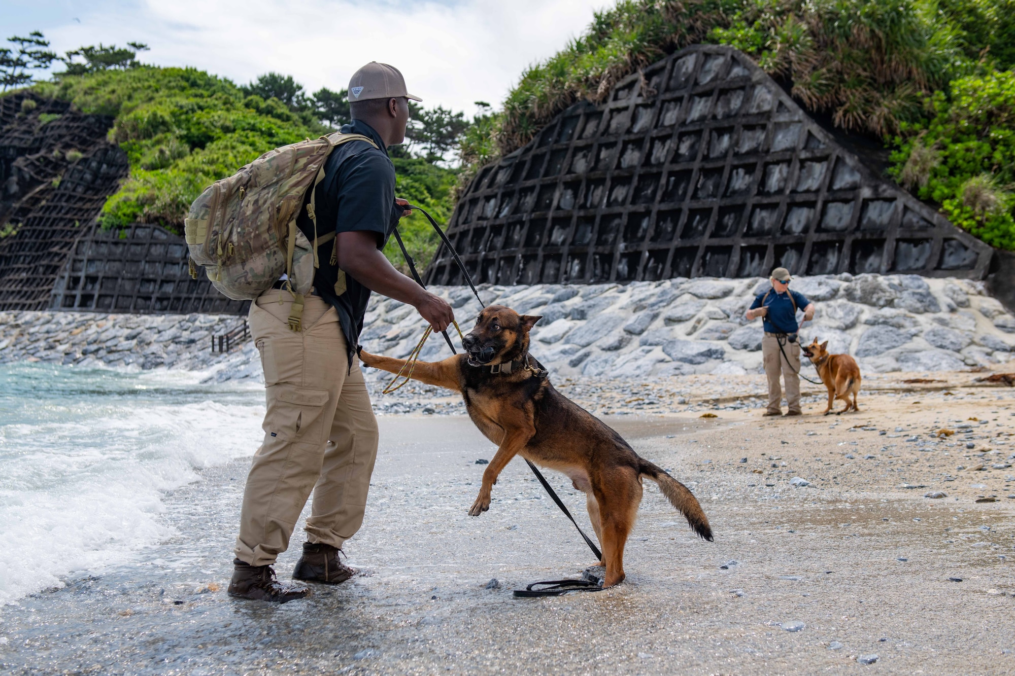 Two dog handlers and their dogs play on a beach