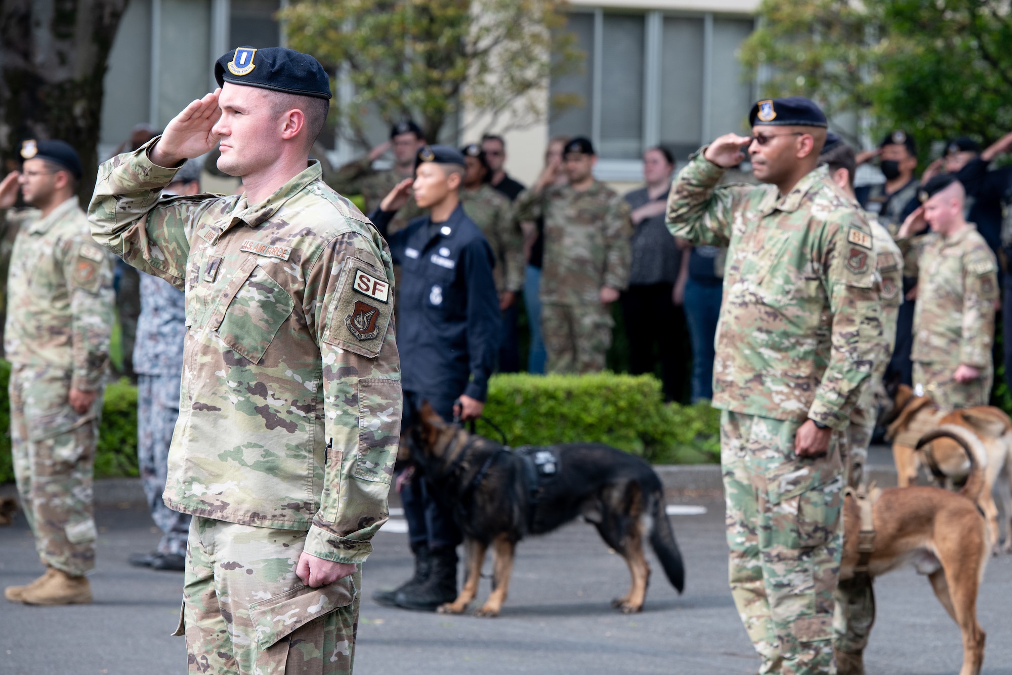 Airmen from the 374th Security Forces Squadron salute during a police retreat ceremony at Yokota Air Base, Japan, May 20, 2022. The 374th SFS held the ceremony during Police Week to honor law enforcement personnel as well as recognize the dangers and risks they face every day. (U.S. Air Force photo by Machiko Arita)