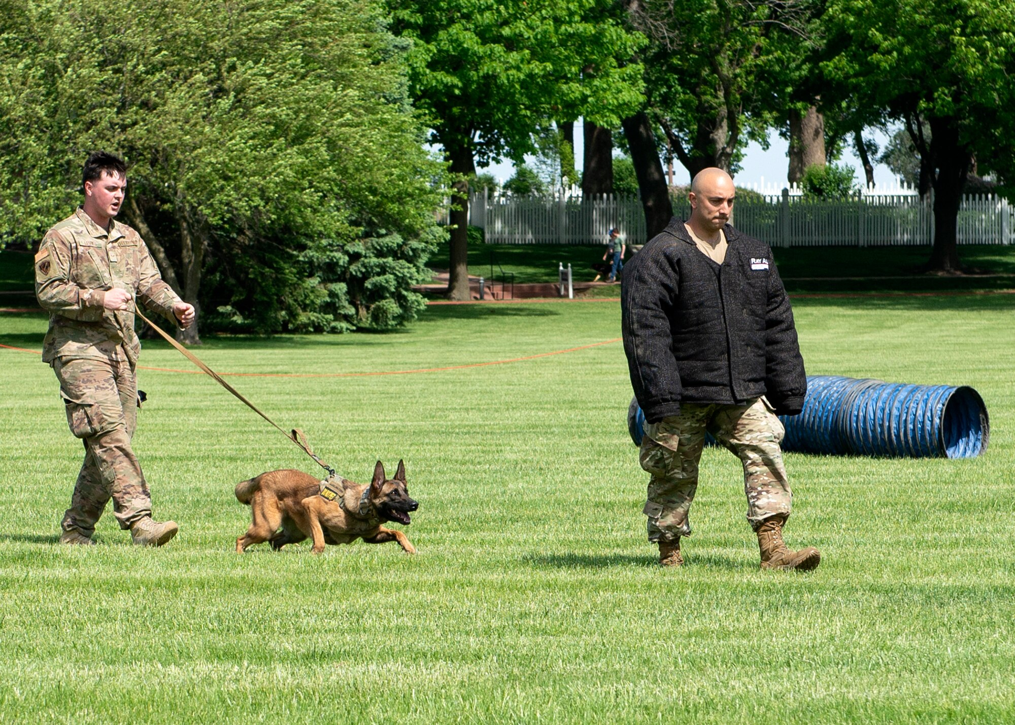 far left Airman holding back military working dog on leash as the dog follows a man dressed to simulate a predator