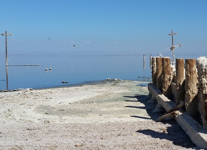 Salton Sea Pier Pilings at Former SSTB