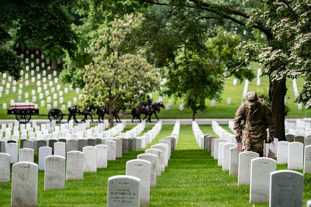 A soldier places a flag at a cemetery headstone as a horse-drawn carriage proceeds on a road in the background.