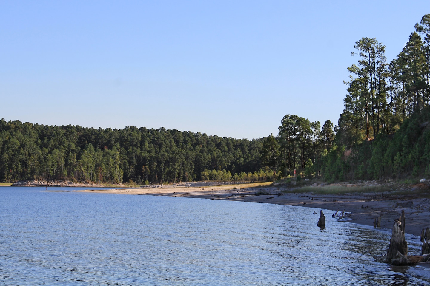 view of a lake shoreline from the lake