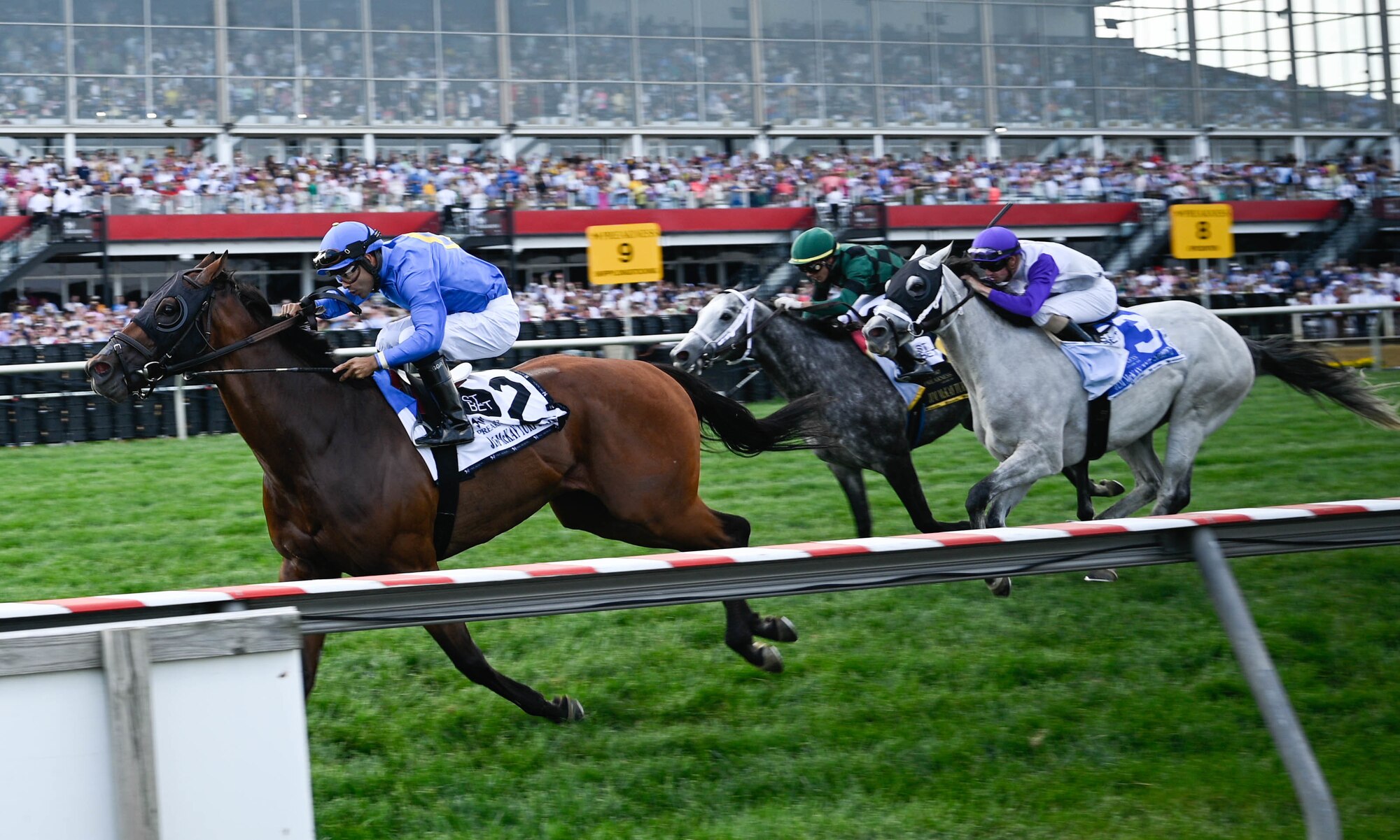 Carotari, a thoroughbred race horse, wins the Jim McKay Turf Sprint during The Preakness at the Pimlico race course, Baltimore, Maryland, May 21, 2022. The Preakness Stakes is an American thoroughbred horse race held on the third Saturday in May each year in Baltimore, Maryland.