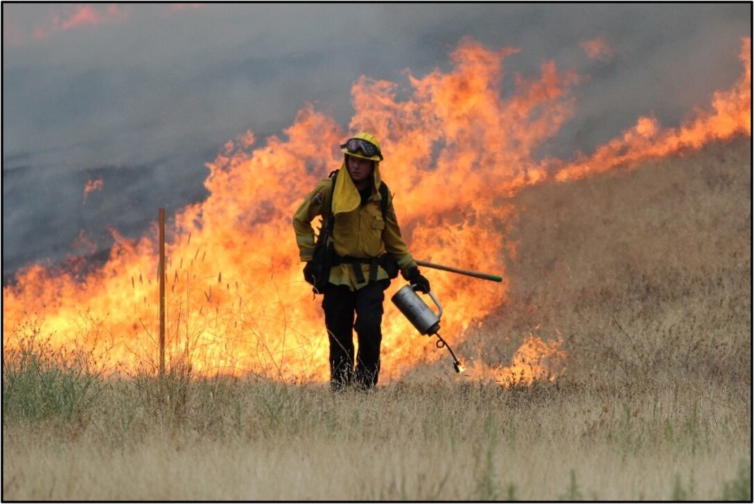 Fire on hillside behind firefighter who is starting a managed fire.