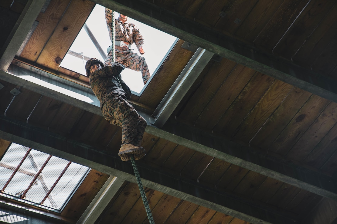 A Naval Reserve Officer Training Corps (NROTC) Midshipman fast-ropes from a rappel tower at Marine Corps Base Camp Lejeune, North Carolina.