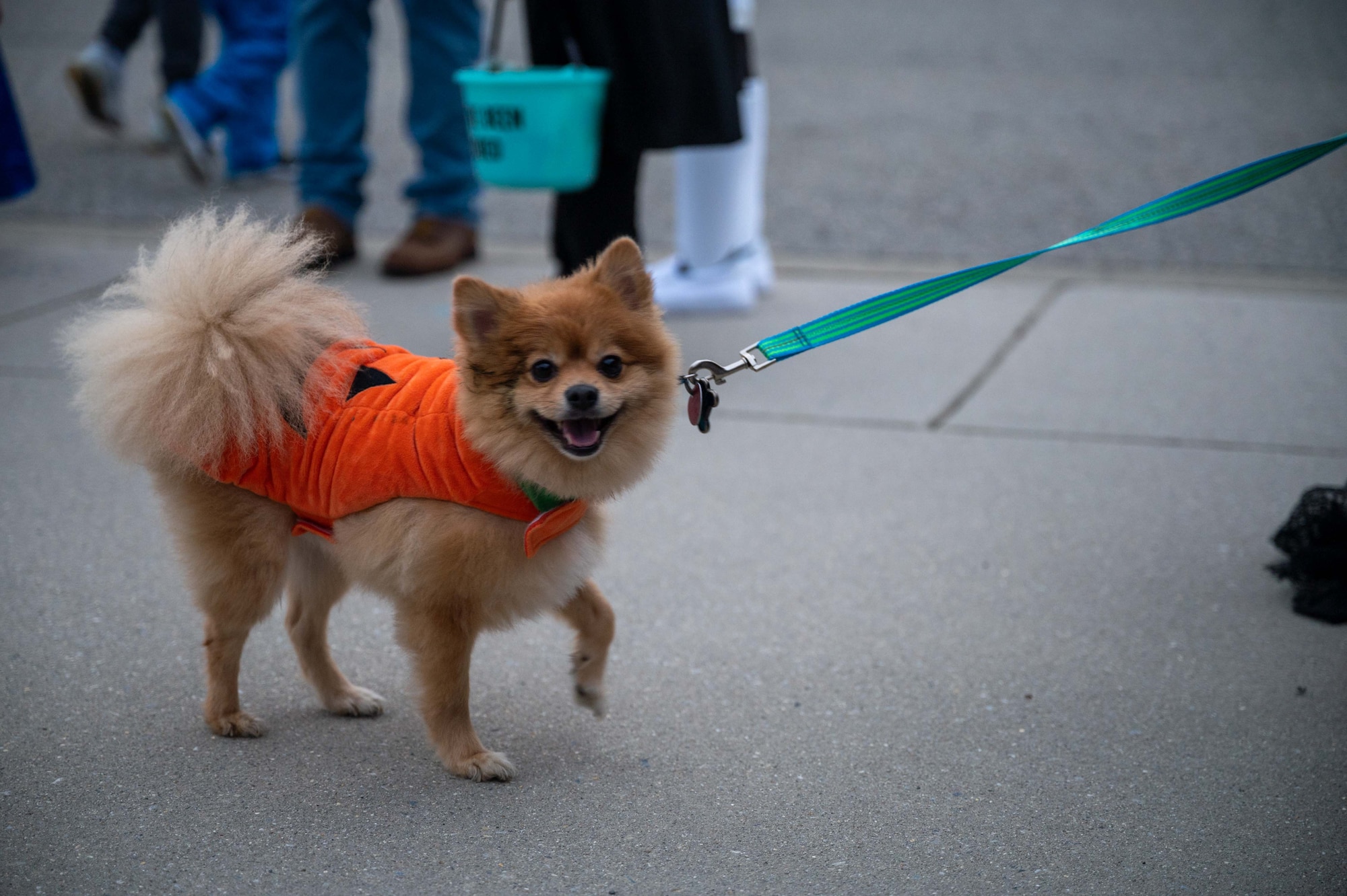 Dover Air Force Base families trick or treat > Dover Air Force Base > News