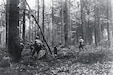 Soldiers from the 28th Infantry Division advance through the Hürtgen Forest in Germany on Nov. 2, 1944, during the Battle of Hürtgen Forest.