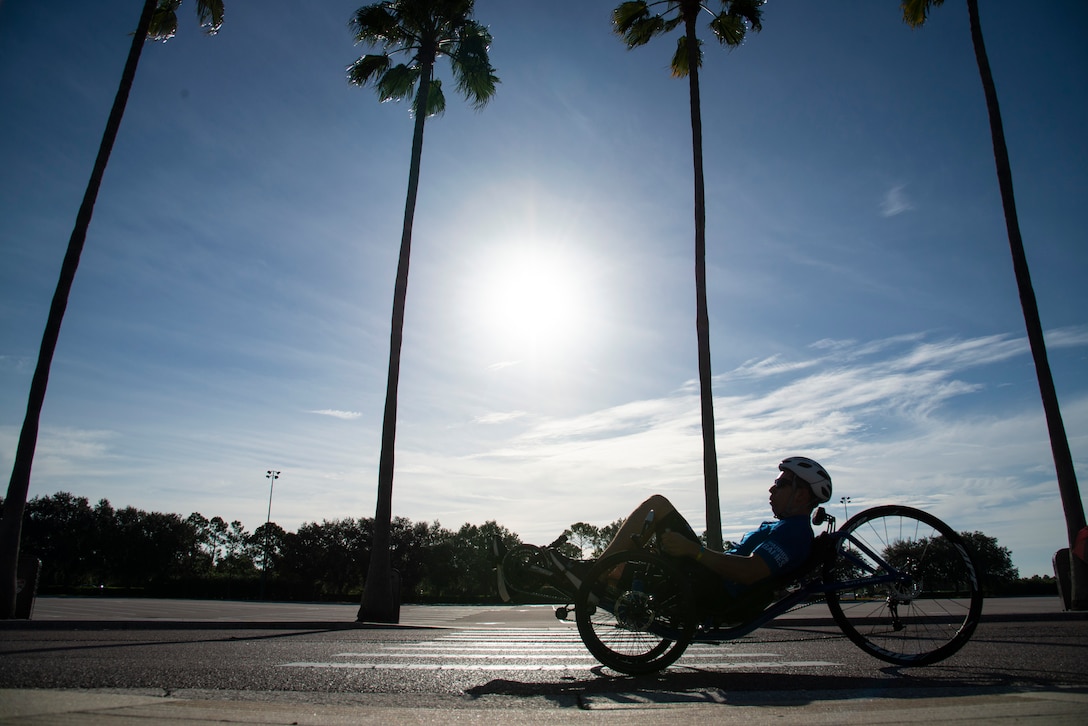 A silhouetted recumbent cyclist rides past palm trees.