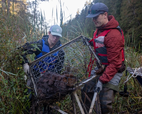 Tulalip Tribes Natural Resources wildlife biologists Glenn Meador, left, and Dylan Collins, lift a trapped North American beaver into a boat at Naval Radio Station Jim Creek, Washington, Oct. 12.