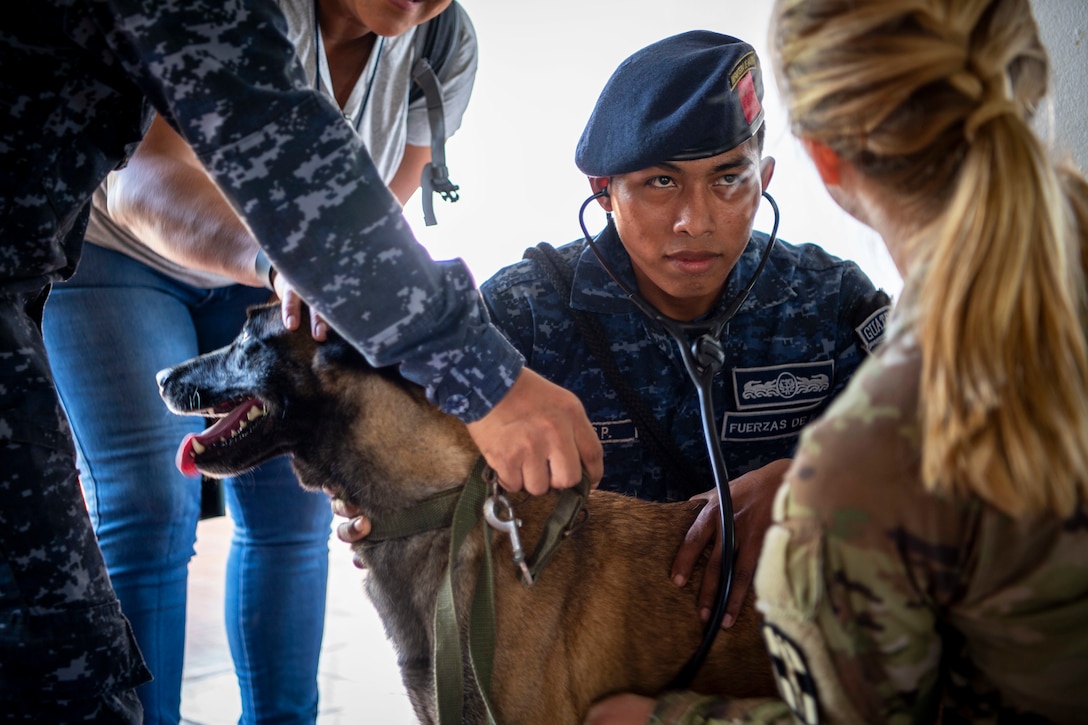 A Guatemalan service member kneels and listens to a dog's heartbeat using a stethoscope as a U.S. soldier looks on.