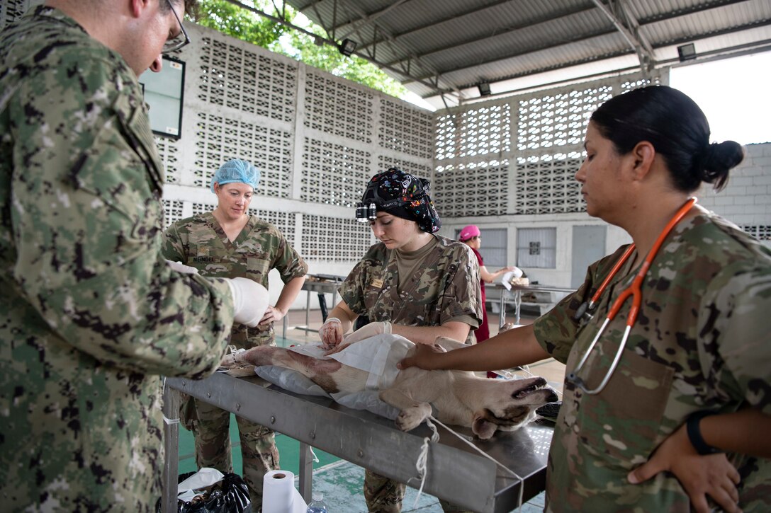U.S. Army Capt. Morgan Pate, veterinarian attached to the hospital ship USNS Comfort (T-AH 20), center, performs an orchiectomy, neutering a male dog during the Continuing Promise spay and neutering clinic in San Pedro Sula, Honduras, Nov. 4, 2022.