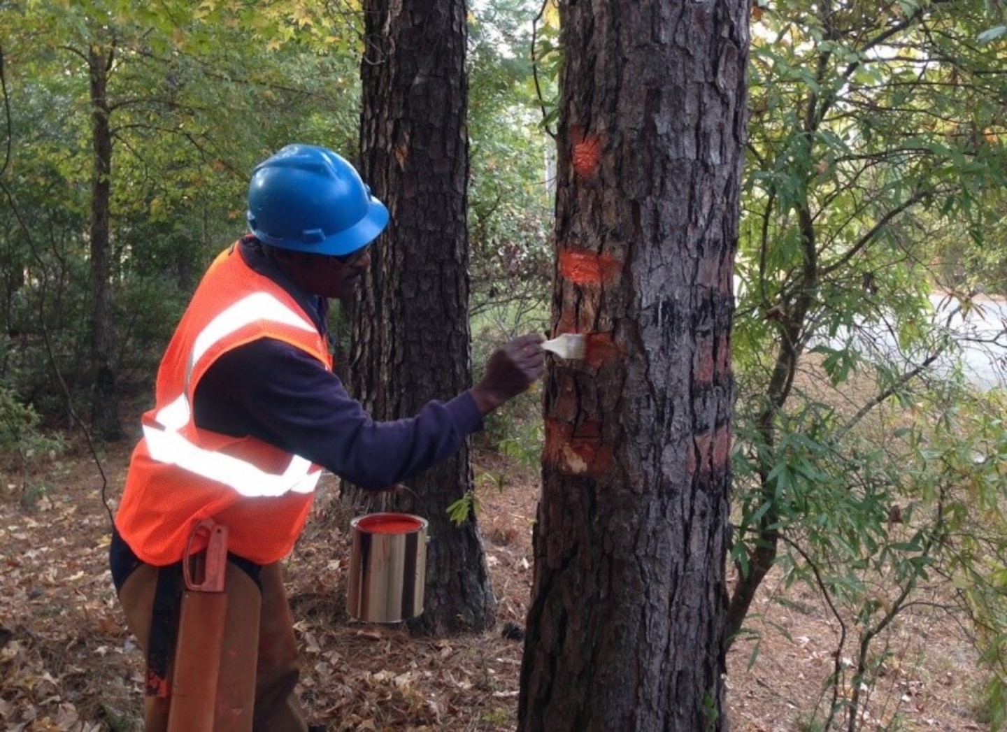 AUGUSTA, Ga. – The U.S. Army Corps of Engineers Savannah District has contracted R&D Maintenance Services to inspect and re-paint bands around each boundary tree, beginning later this week, for approximately 50 miles of the existing boundary line at  J. Strom Thurmond Project.

R&D Maintenance Services uses bright orange paint to make boundary line “witness trees” more visible and easier to identify, as well as trimming heavy brush to clear the boundary line between witness trees. This routine boundary maintenance does not move present property lines. The work makes existing property lines more visible.