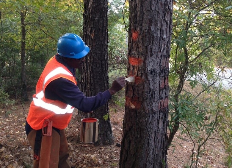 AUGUSTA, Ga. – The U.S. Army Corps of Engineers Savannah District has contracted R&D Maintenance Services to inspect and re-paint bands around each boundary tree, beginning later this week, for approximately 50 miles of the existing boundary line at  J. Strom Thurmond Project.

R&D Maintenance Services uses bright orange paint to make boundary line “witness trees” more visible and easier to identify, as well as trimming heavy brush to clear the boundary line between witness trees. This routine boundary maintenance does not move present property lines. The work makes existing property lines more visible.
