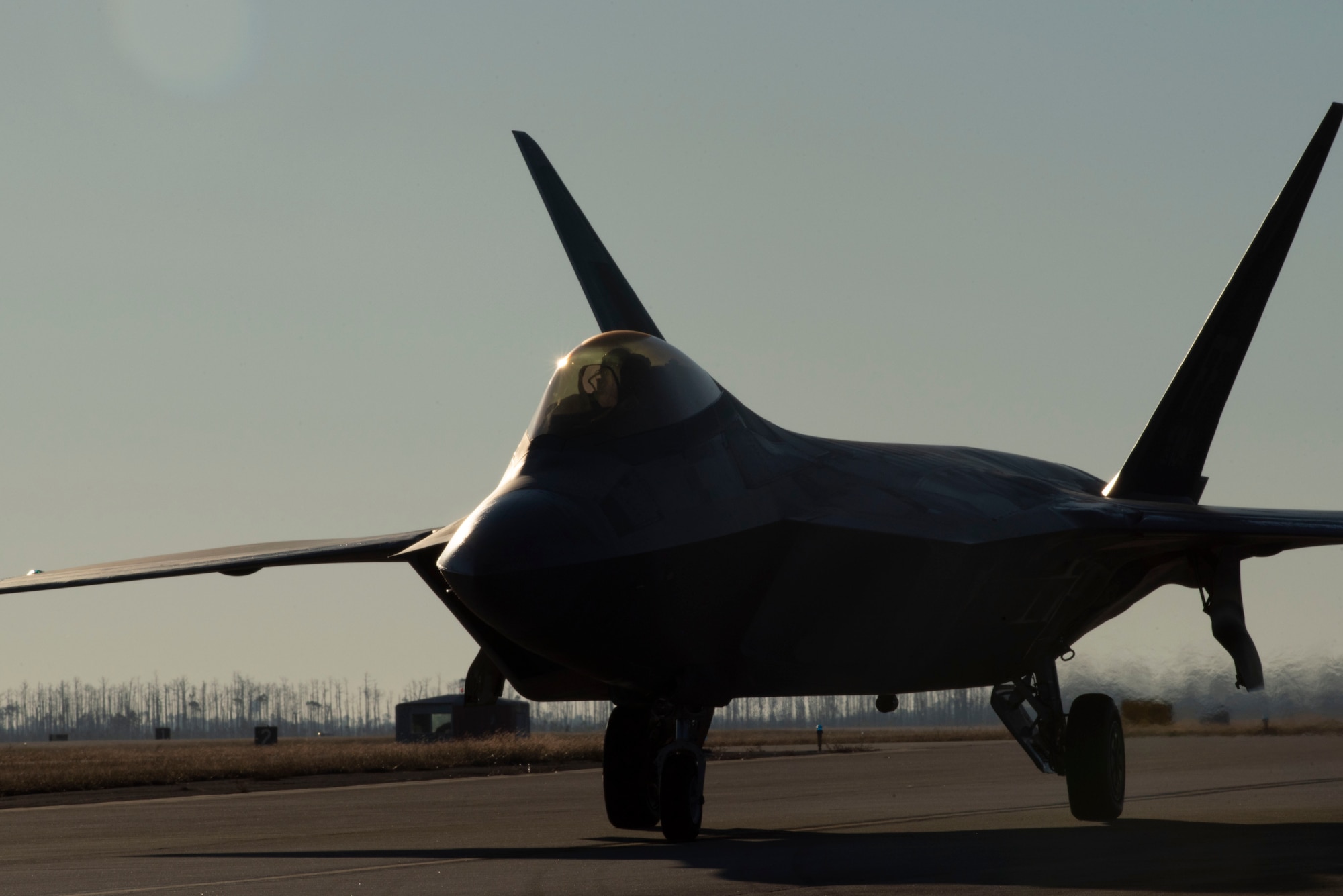 F-22 Raptor