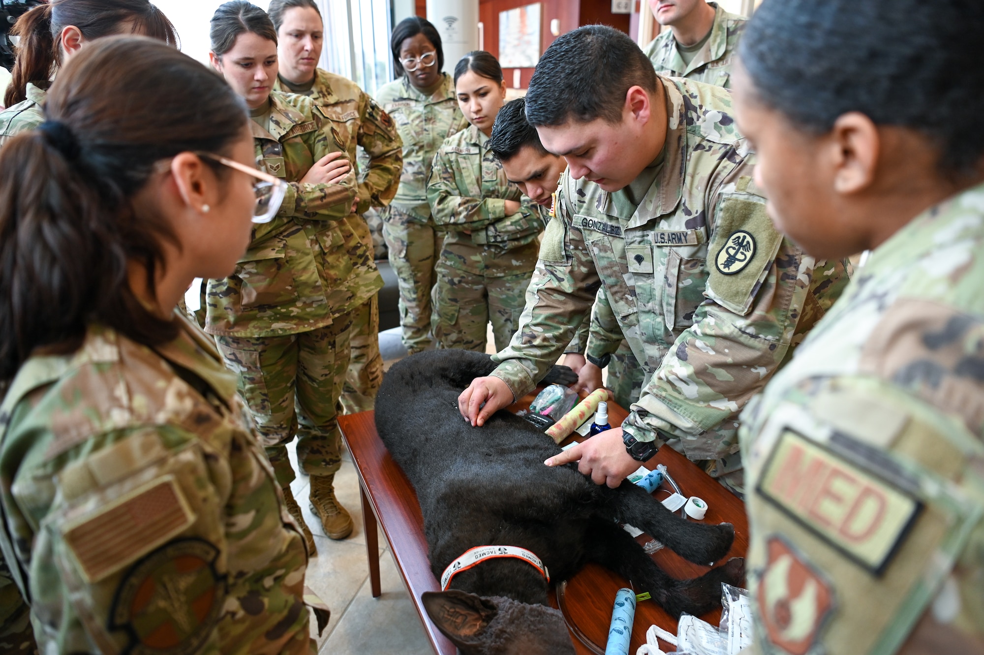 Medical Group training with dog simulator.