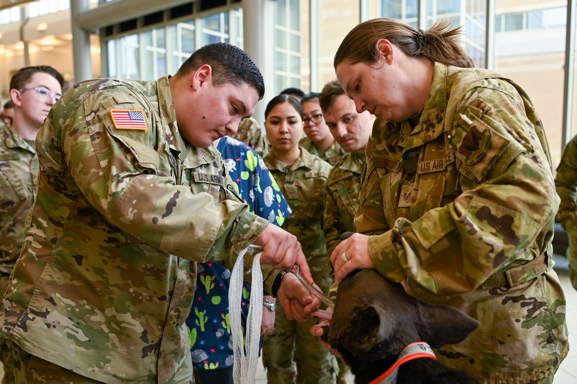 Medical Group training with dog simulator.