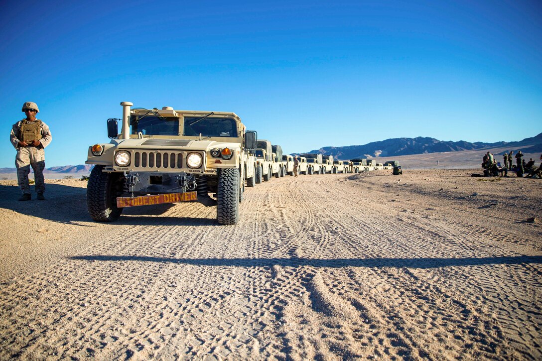 A service member stands next to a row of vehicles in a desert.