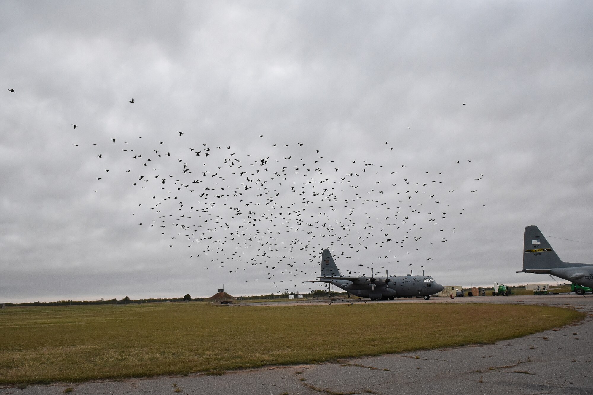 Grackles fly over Sheppard AFB airfield