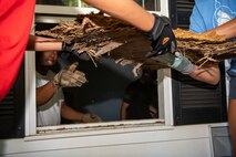 Chief Master Sgt. Vernon Jackson uses a nearby bedroom window to remove rotten flooring material