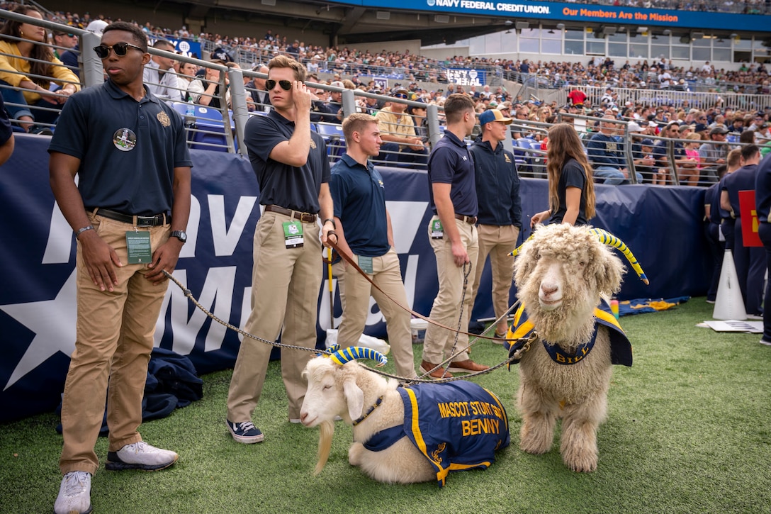 Two goats and a group of people wait together near the stands of a sports stadium.