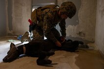 Photo by Cpl. Lance Kell